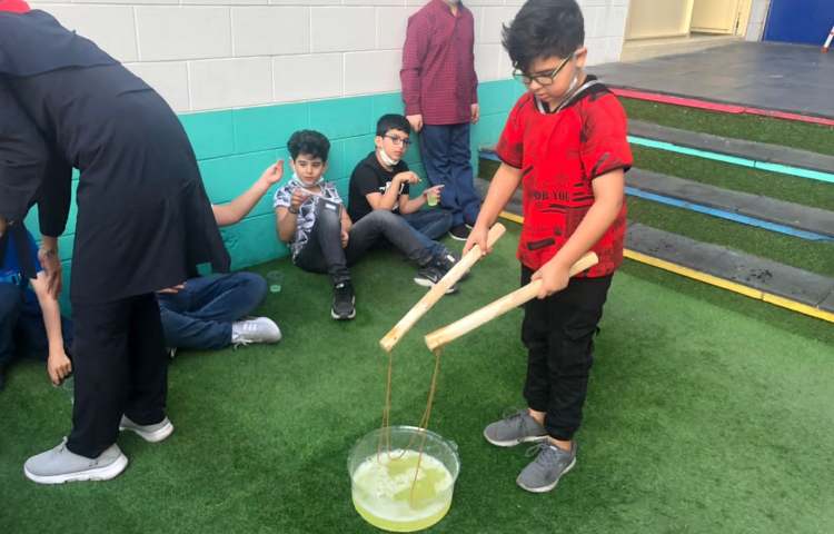 فعالیتهای آموزشی پایه چهارم 5