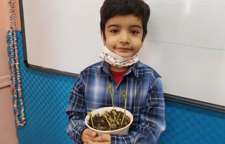 فعالیتهای آموزشی پیش دبستان علوی 1