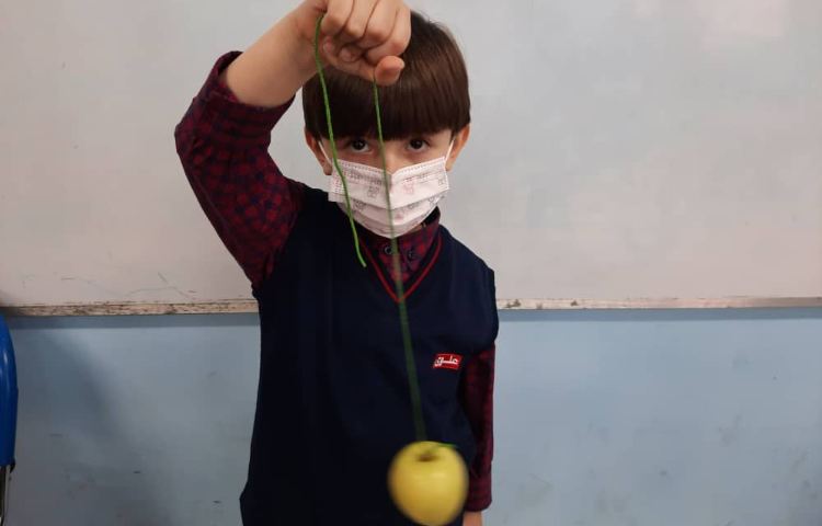 فعالیتهای آموزشی پیش دبستان 3