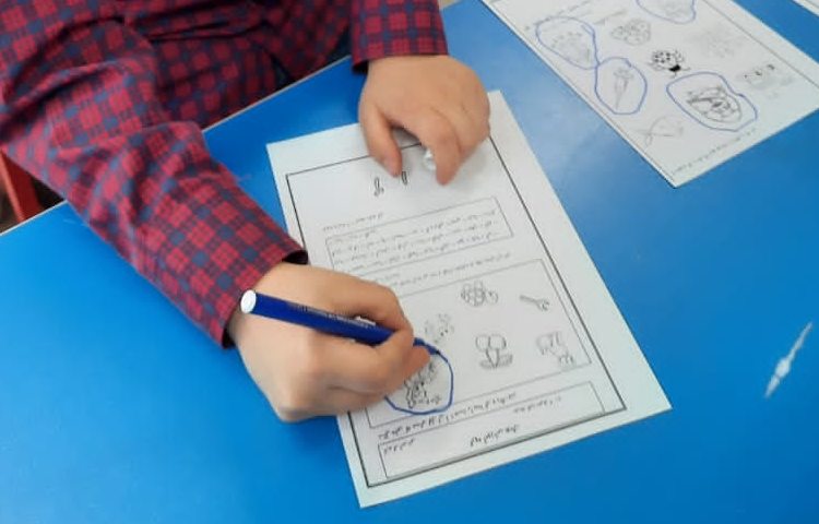 فعالیتهای آموزشی پیش دبستان 4