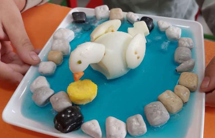 فعالیتهای آموزشی پیش دبستان 5