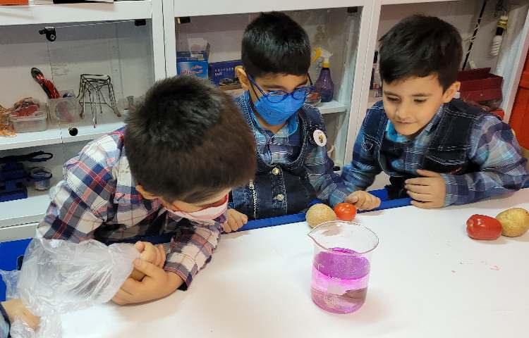 :فعالیتهای درسی کلاس انگور از 16 تا 20 مهر 21