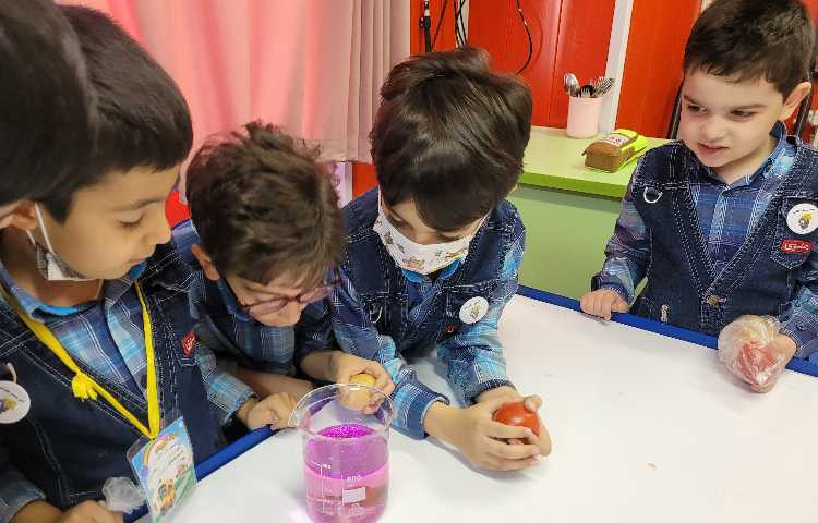 :فعالیتهای درسی کلاس انگور از 16 تا 20 مهر 22