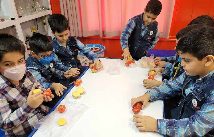 :فعالیتهای درسی کلاس انگور از 16 تا 20 مهر 23