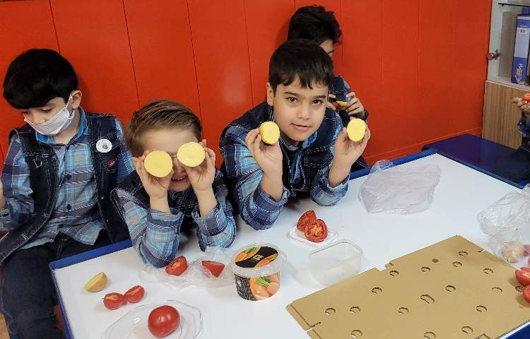 :فعالیتهای درسی کلاس انگور از 16 تا 20 مهر 24