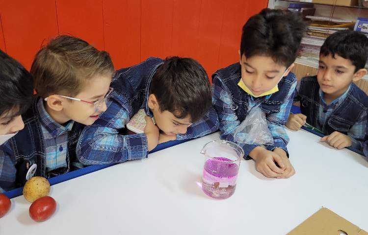 :فعالیتهای درسی کلاس انگور از 16 تا 20 مهر 25