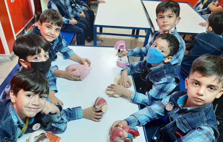 :فعالیتهای درسی کلاس سیب 11