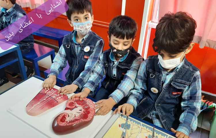 :فعالیتهای درسی کلاس سیب 17