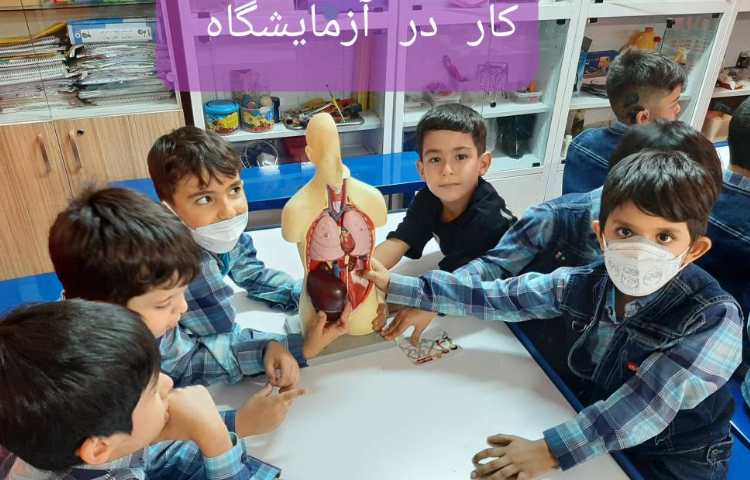 :فعالیتهای درسی کلاس سیب 3