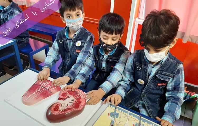 :فعالیتهای درسی کلاس سیب 4