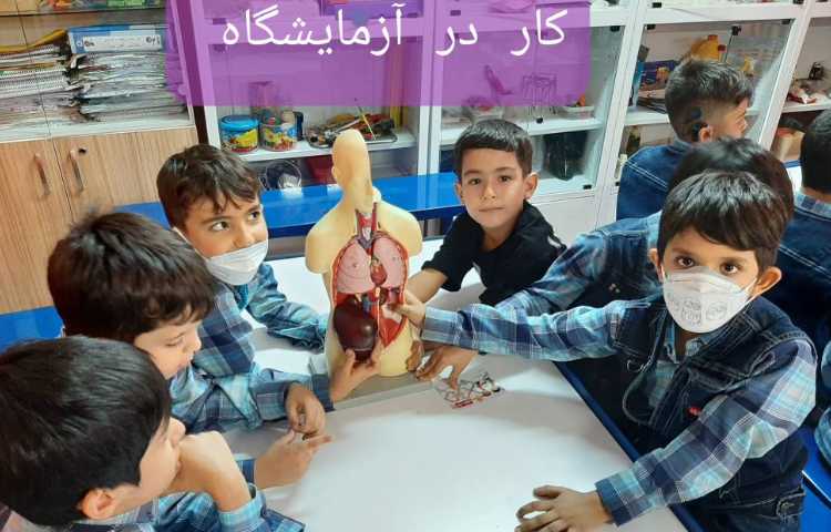 :فعالیتهای درسی کلاس سیب 5