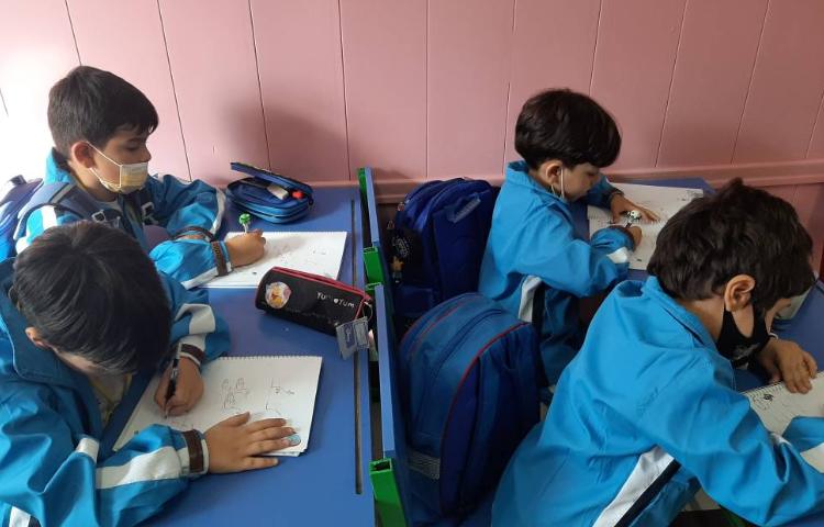 :فعالیتهای درسی کلاس سیب 5