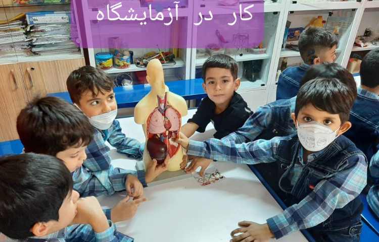 :فعالیتهای درسی کلاس سیب 8