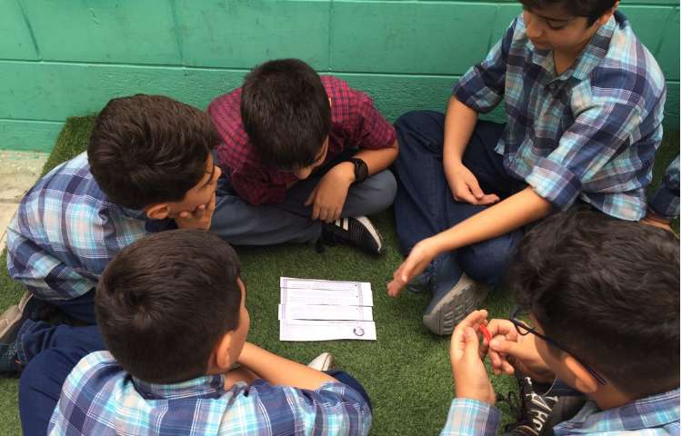 فعالیتهای زبان پایه ششم دبستان علوی 2