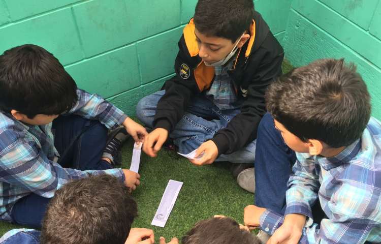 فعالیتهای زبان پایه ششم دبستان علوی 3