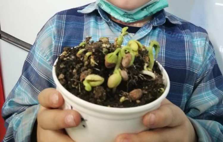 فعالیتهای شاد و جذاب زنگ علوم 7