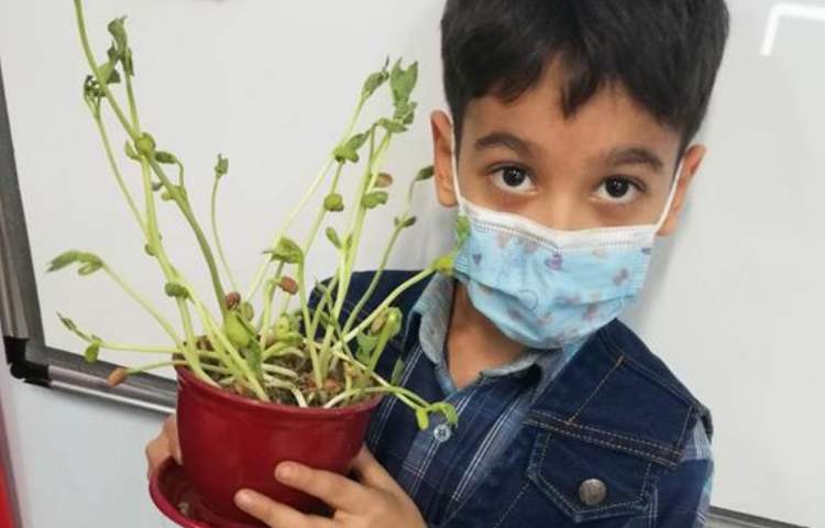 فعالیتهای شاد و جذاب زنگ علوم 8