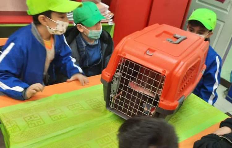 فعالیتهای مهیج و شاد هفته ملی علوم دبستان علوی 5