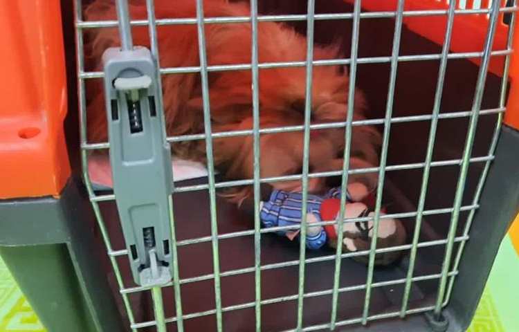 فعالیتهای مهیج و شاد هفته ملی علوم دبستان علوی 6