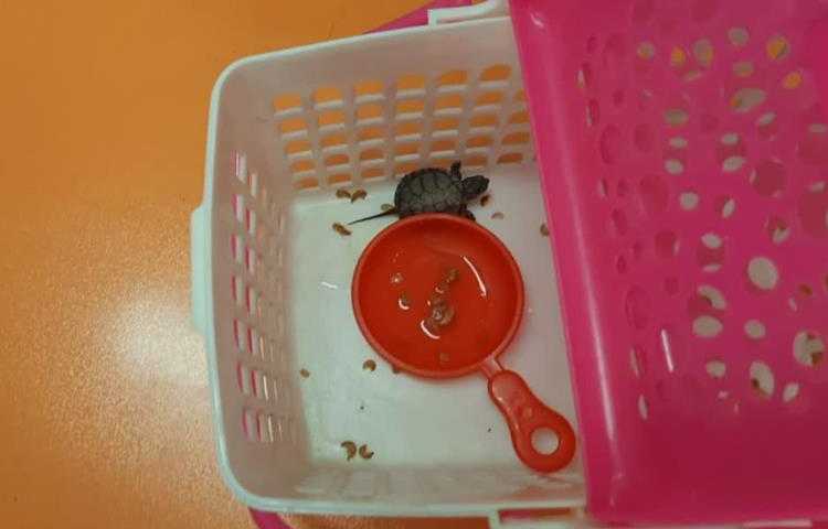 فعالیتهای مهیج و شاد هفته ملی علوم دبستان علوی 7