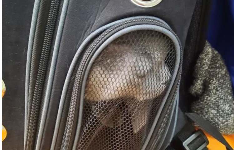 فعالیتهای مهیج و شاد هفته ملی علوم دبستان علوی 8