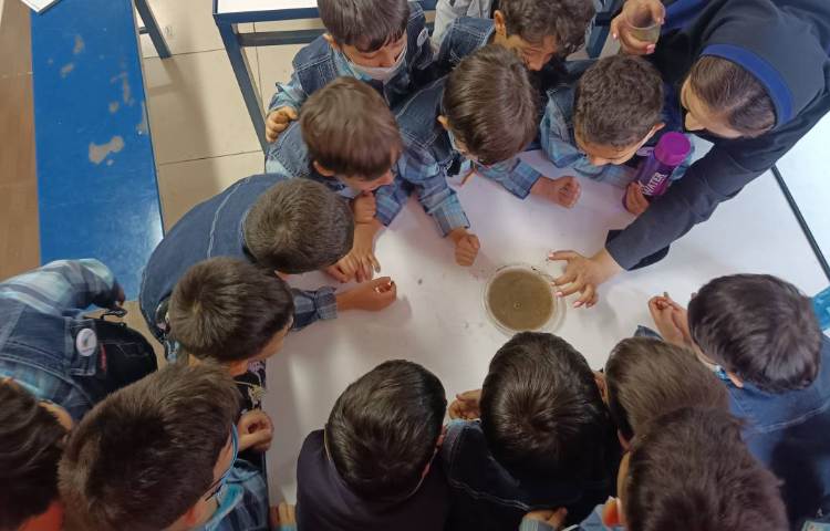 :فعالیتهای کلاس بادبادک 1