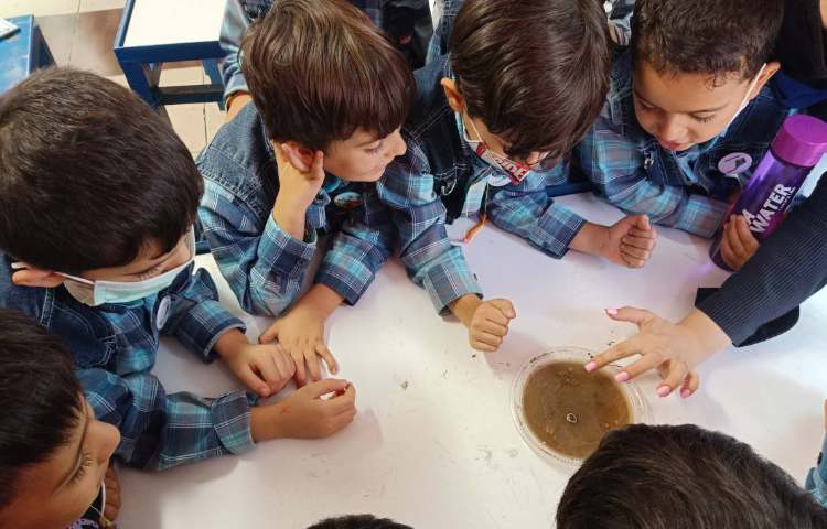 :فعالیتهای کلاس بادبادک 2