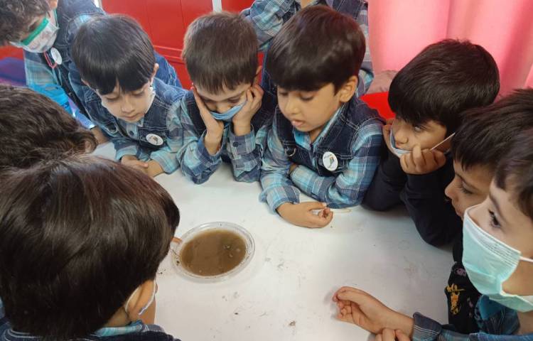 :فعالیتهای کلاس بادبادک 3