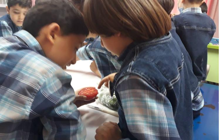 :فعالیت آزمایشگاه علوم 2