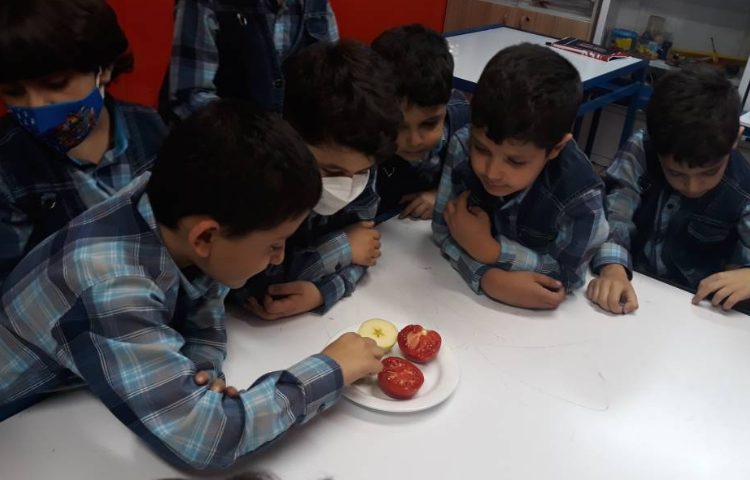 :فعالیت آزمایشگاه علوم 4