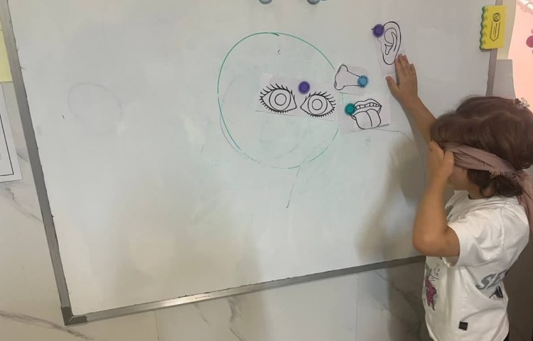 فعالیت - parts of body - استیج Freer practice 3