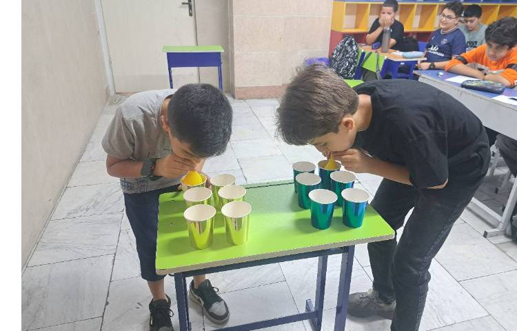 فعالیت برای ارزیابی کلاسی 4