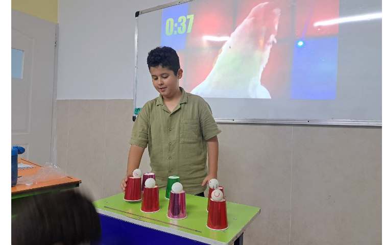 فعالیت catch the ball برای مروز مطالب