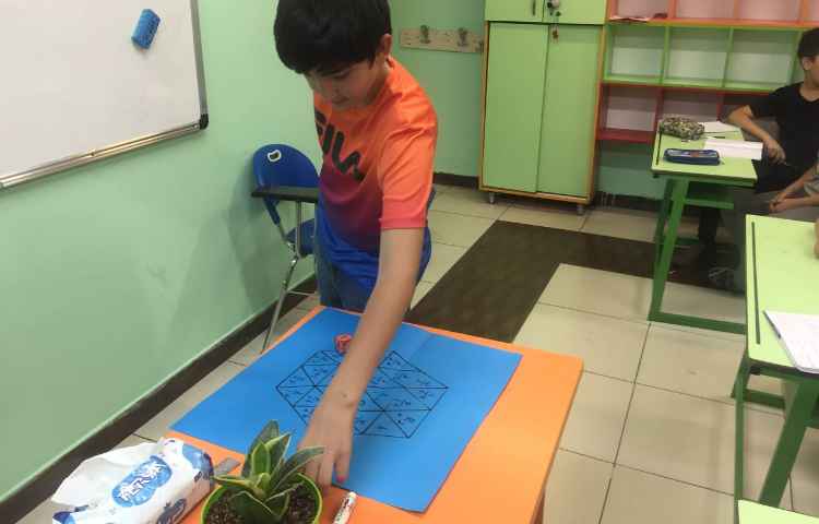 فعالیت جمع و تفریق اعداد مخلوط با تاس و شش ضلعی 1