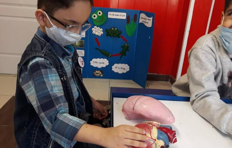 :فعالیت درس علوم، کلاس گیلاس 3