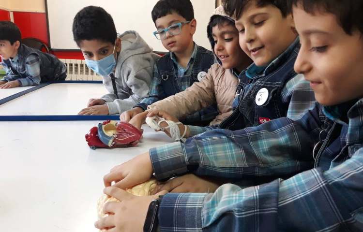 :فعالیت درس علوم، کلاس گیلاس 4