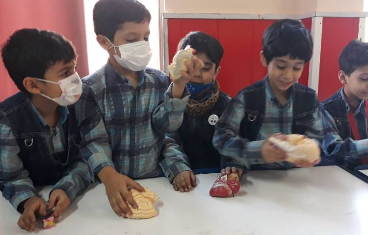 :فعالیت درس علوم، کلاس گیلاس 5