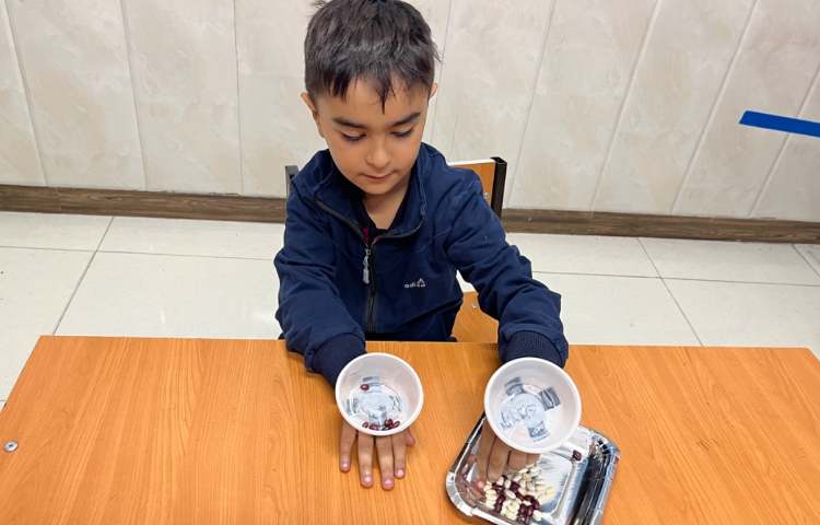 فعالیت دست‌ورزی-زنگ زبان عمومی 1