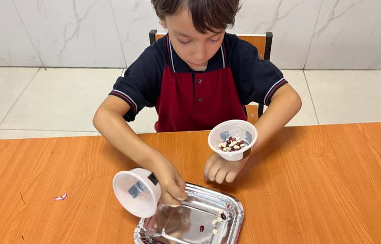 فعالیت دست‌ورزی-زنگ زبان عمومی 2