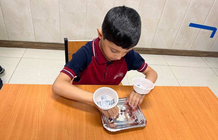 فعالیت دست‌ورزی-زنگ زبان عمومی 3