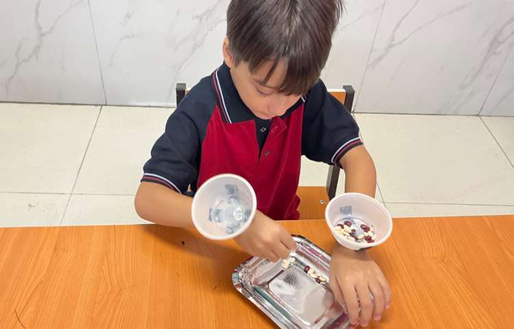 فعالیت دست‌ورزی-زنگ زبان عمومی 3