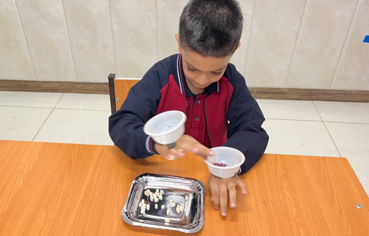 فعالیت دست‌ورزی-زنگ زبان عمومی 4