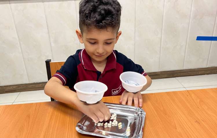 فعالیت دست‌ورزی-زنگ زبان عمومی