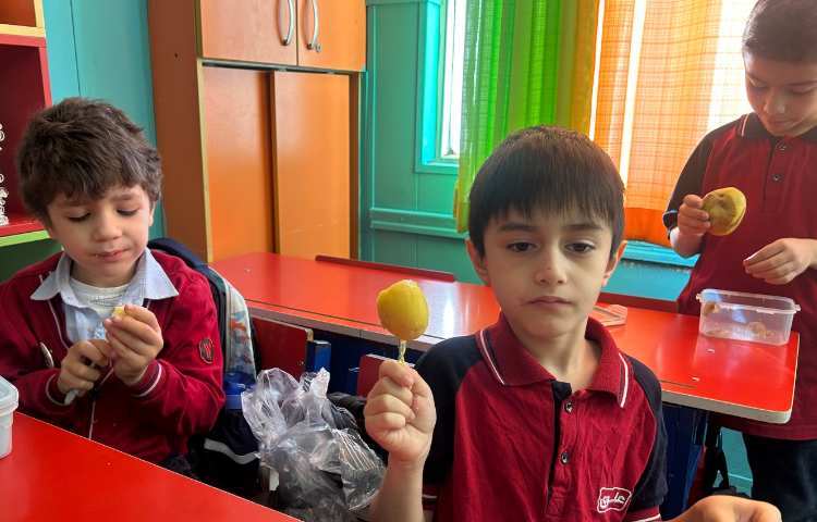 فعالیت دست ورزی ، س مثل سیب زمینی 3