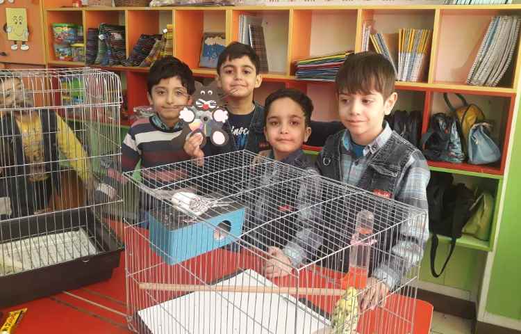 :فعالیت دوستان خانگی (هفته ی علوم) 1