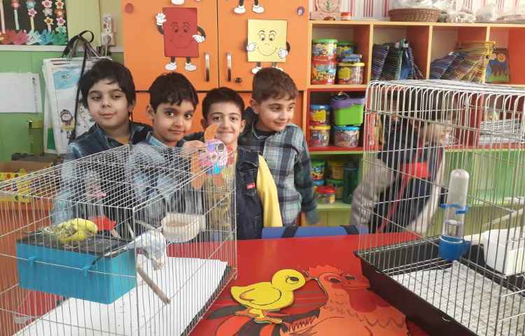 :فعالیت دوستان خانگی (هفته ی علوم) 2