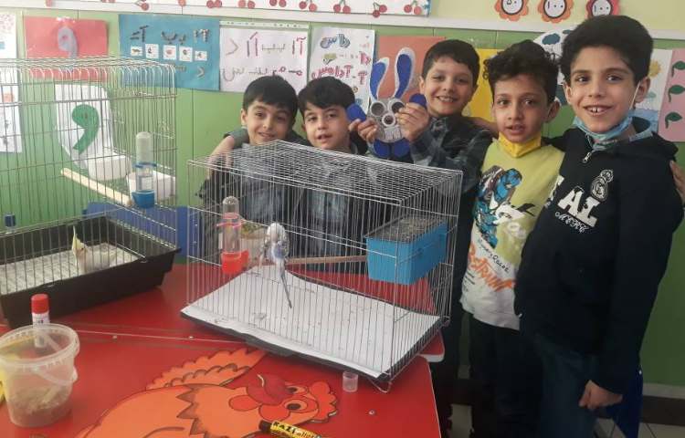 :فعالیت دوستان خانگی (هفته ی علوم) 3