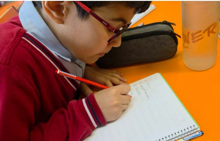 فعالیت دیکته نودلی 11