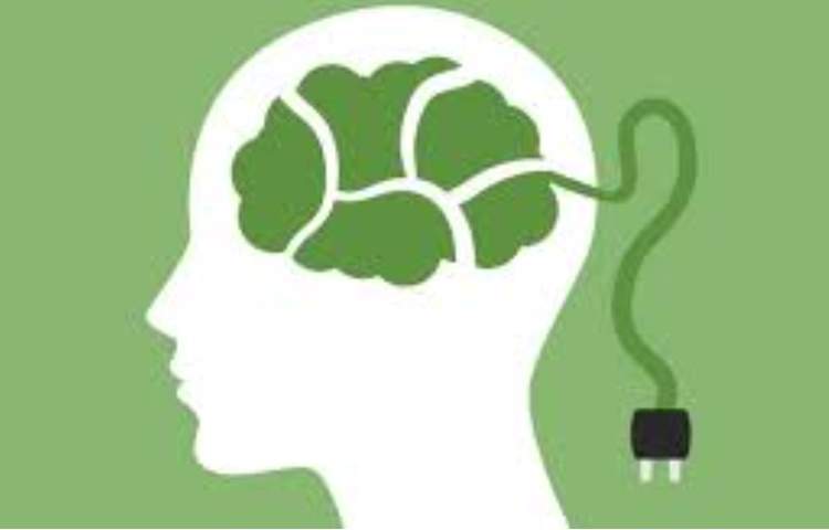 فعالیت روانشناختی 1