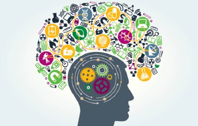 فعالیت روانشناختی 1